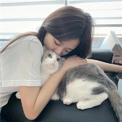 倾巢而出