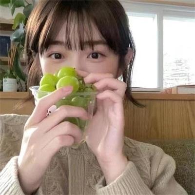 蓝色大丽花